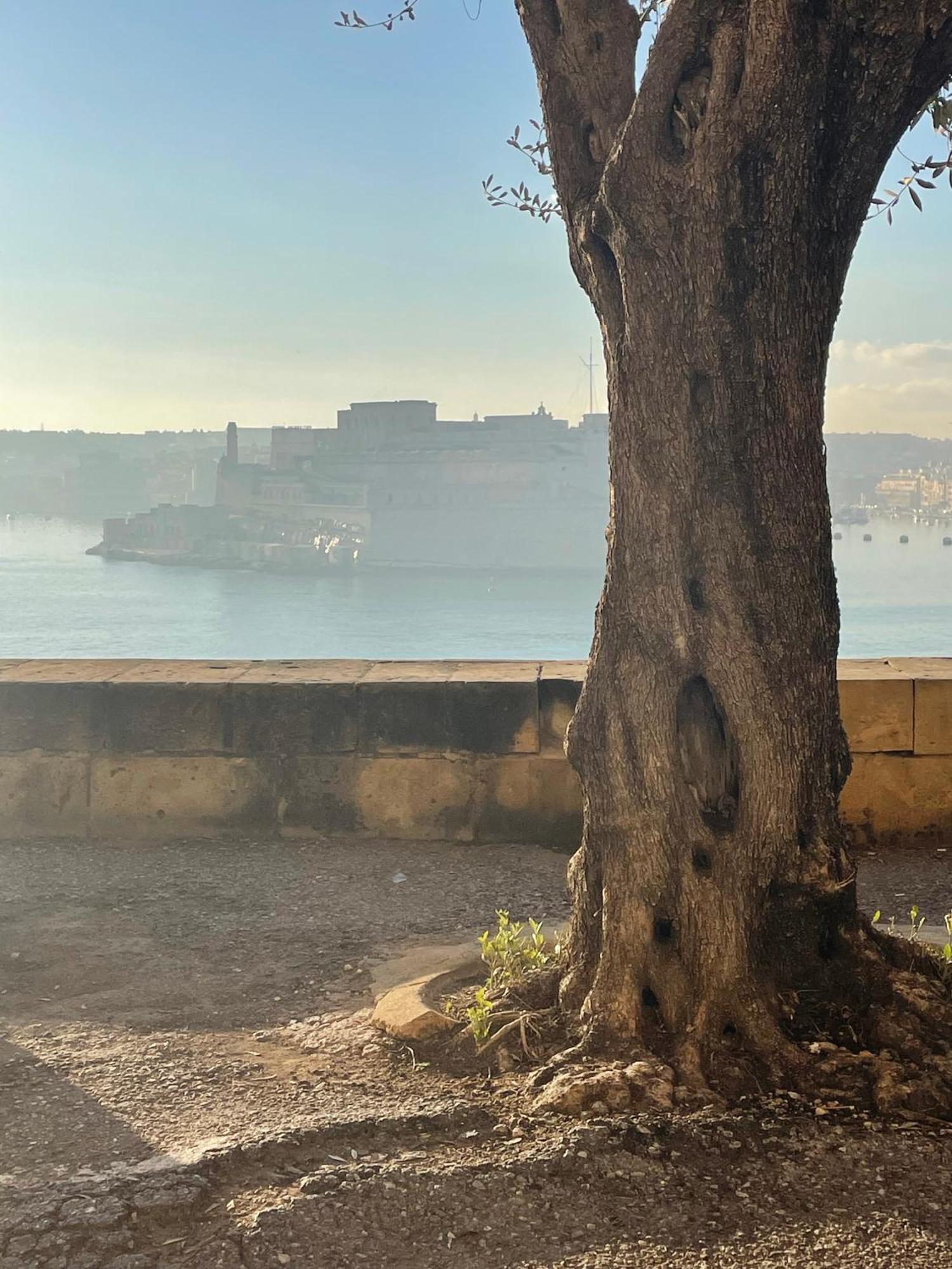 Prestigious Pied A Terre Wignacourt With Views Apartment Valletta Exterior photo